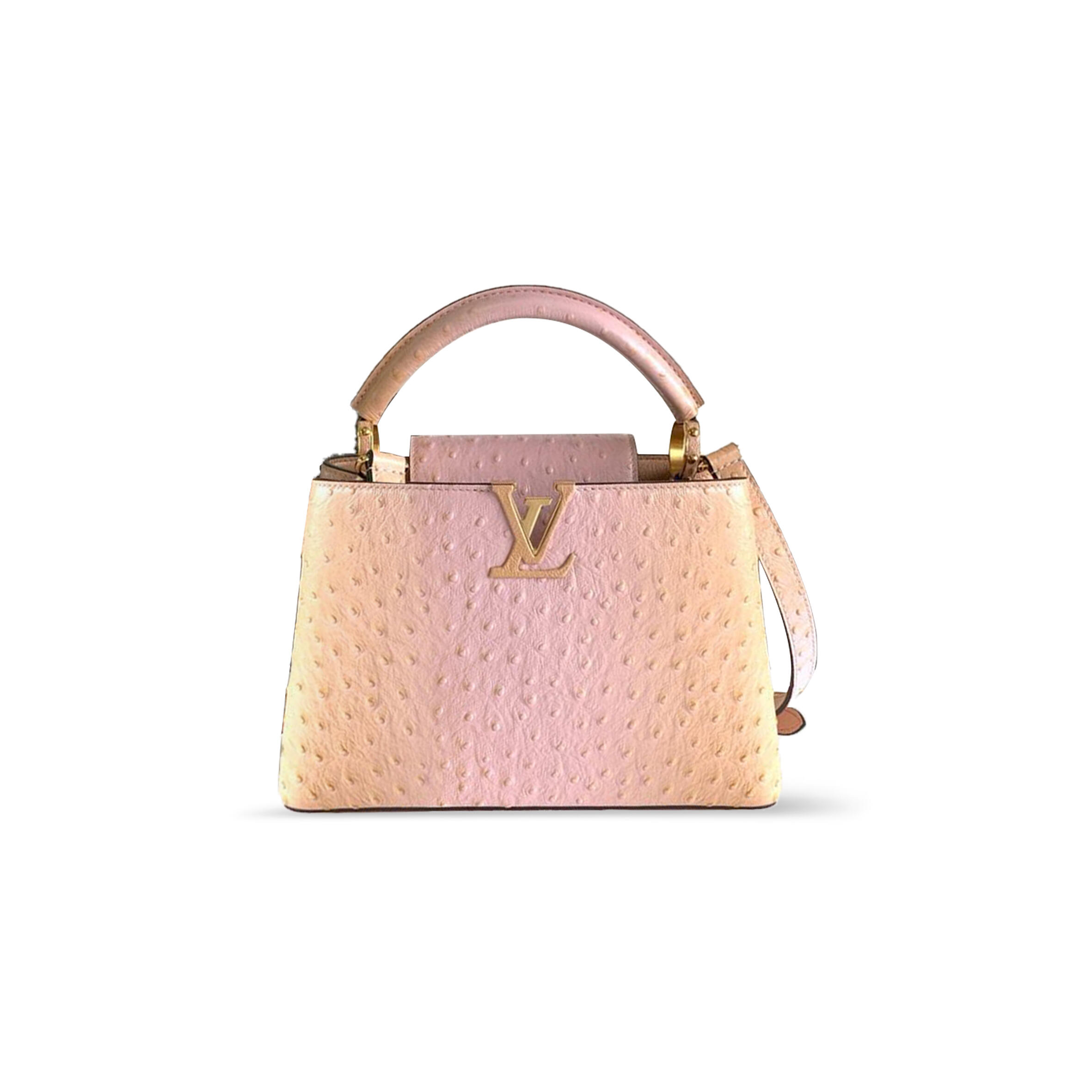 LOUIS VUITTON CAPUCINES BB  N89025 (27*18*9cm) LOUIS VUITTON CAPUCINES BB  N89025 (27*18*9cm)